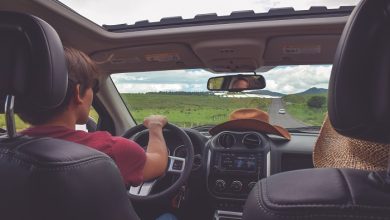 How Illinois Parents Can Prepare Their Children For The Road