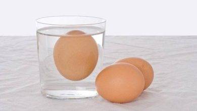How to Tell if Eggs are Bad Easy Ways to Test Egg Freshness at Home