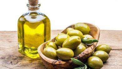 Is Olive Oil a Seed Oil