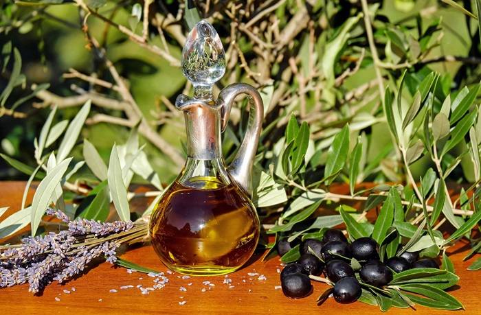 The Plant Source Where Does Olive Oil Originate